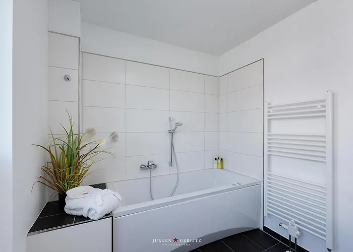 Nordlicht * 奥尔本尼兹